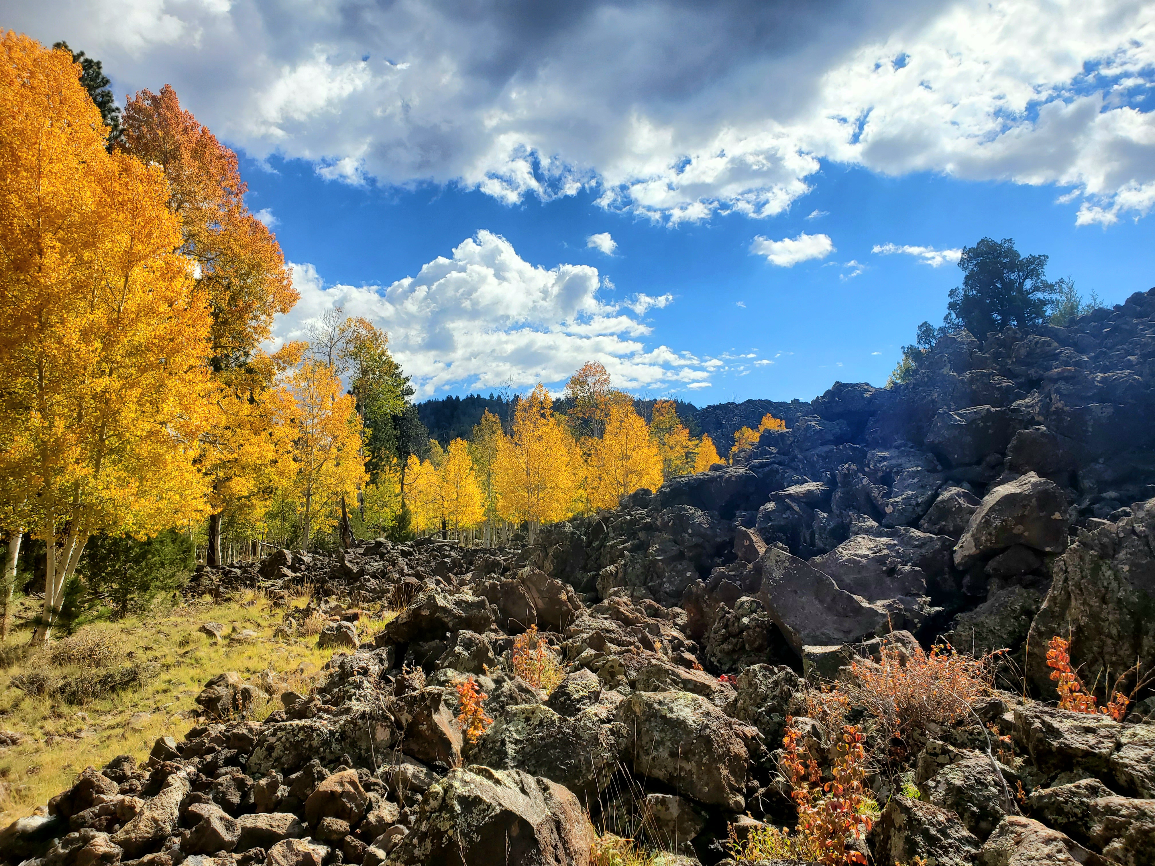 Cedar City